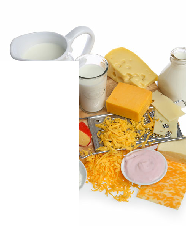 DAIRY PRODUCTS SUPPLY